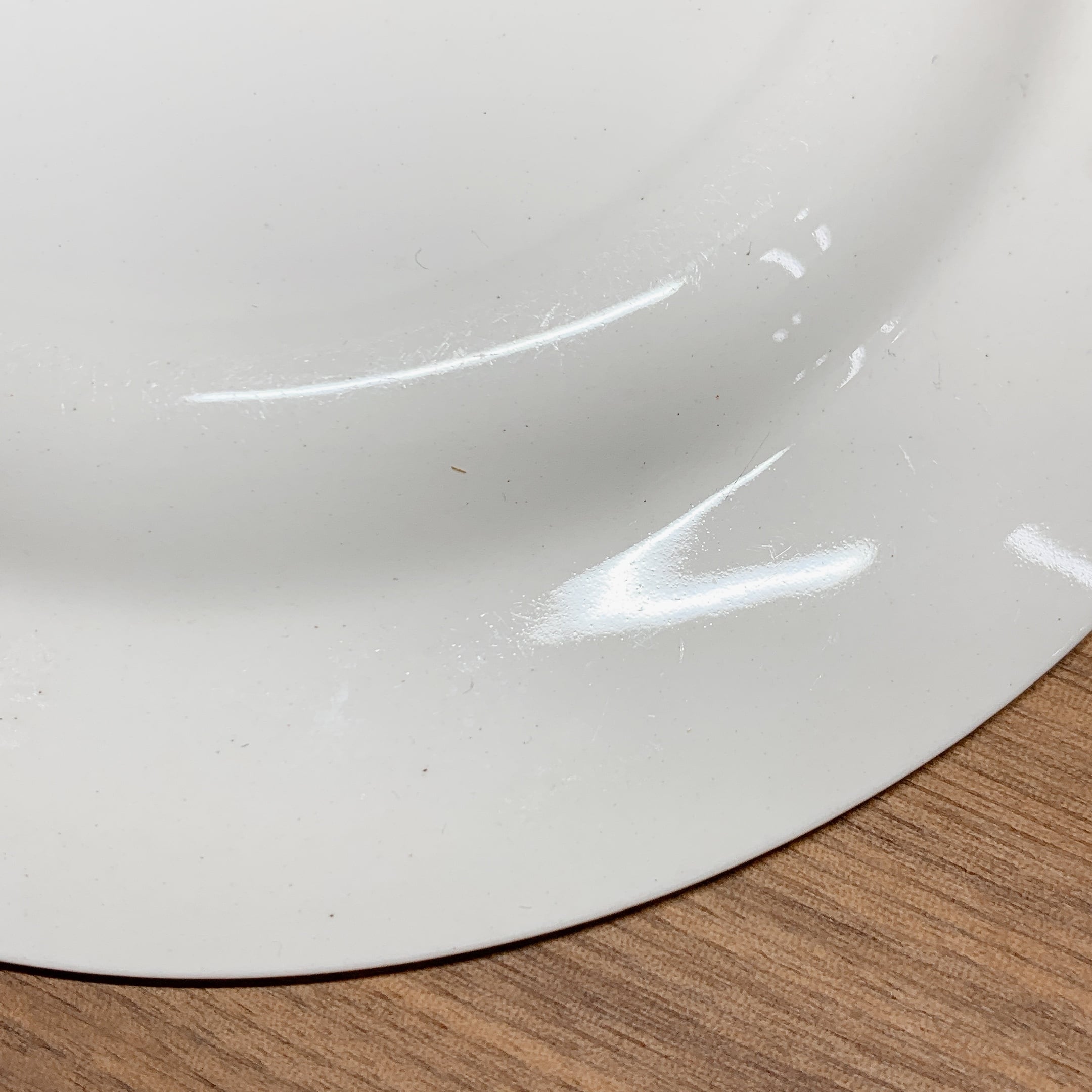 スージークーパー　パロットチューリップ　プレート（大皿） スージークーパー パロットチューリップ プレート15.4cm