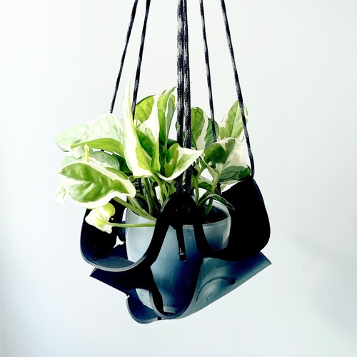 【限定品】ポトス エンジョイ ラバーハンギング 観葉植物 calm cafe