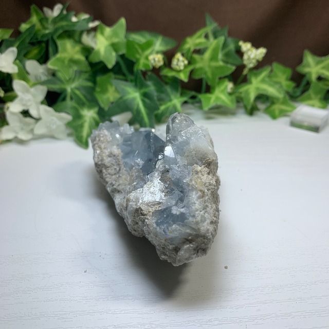 1.空色セレスタイトに住み着いているフローライトハリネズミさん