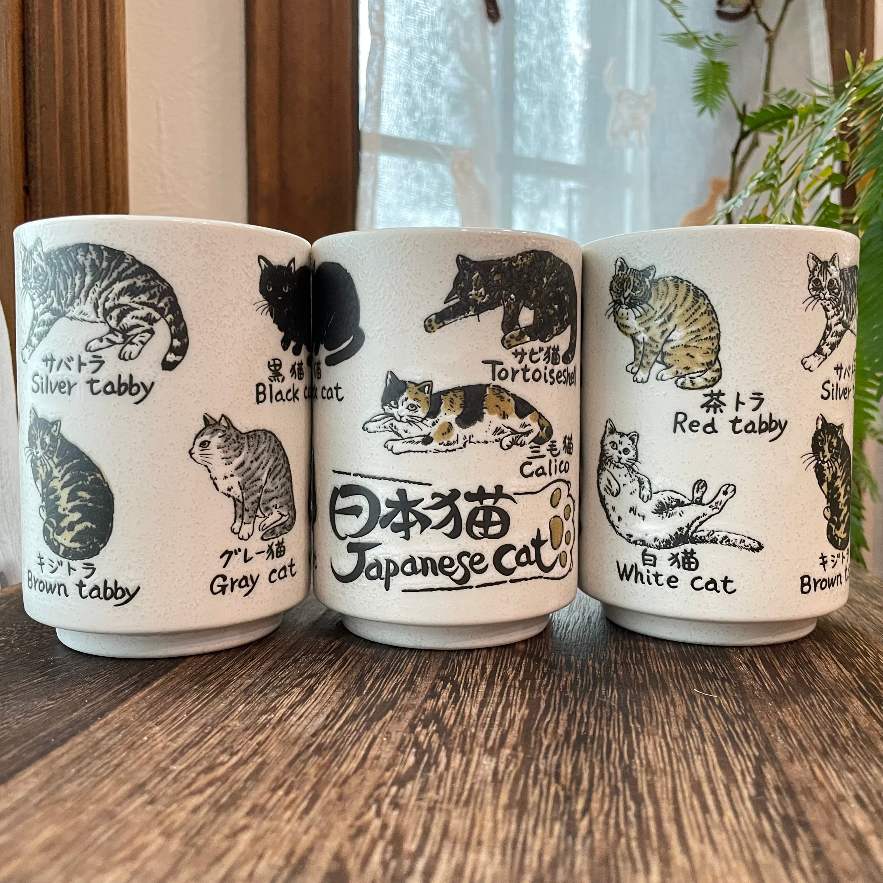 湯飲み｜ゆのみ｜猫図鑑 日本猫 ねこ ネコ 猫雑貨 猫グッズ かわいい