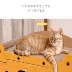 予約 ペットグッズ 猫爪とぎハウス 爪とぎ付き 猫ハウス 段ボール 爪研ぎベッド ストレス解消 隠れ家 安眠スペース 多機能 爪とぎボックス 猫用家具 猫おもちゃ 爪研ぎ おしゃれ コンパクト キャットハウス 爪とぎ 猫隠れ家 組み立て式 猫用アイテム cw-a-6660