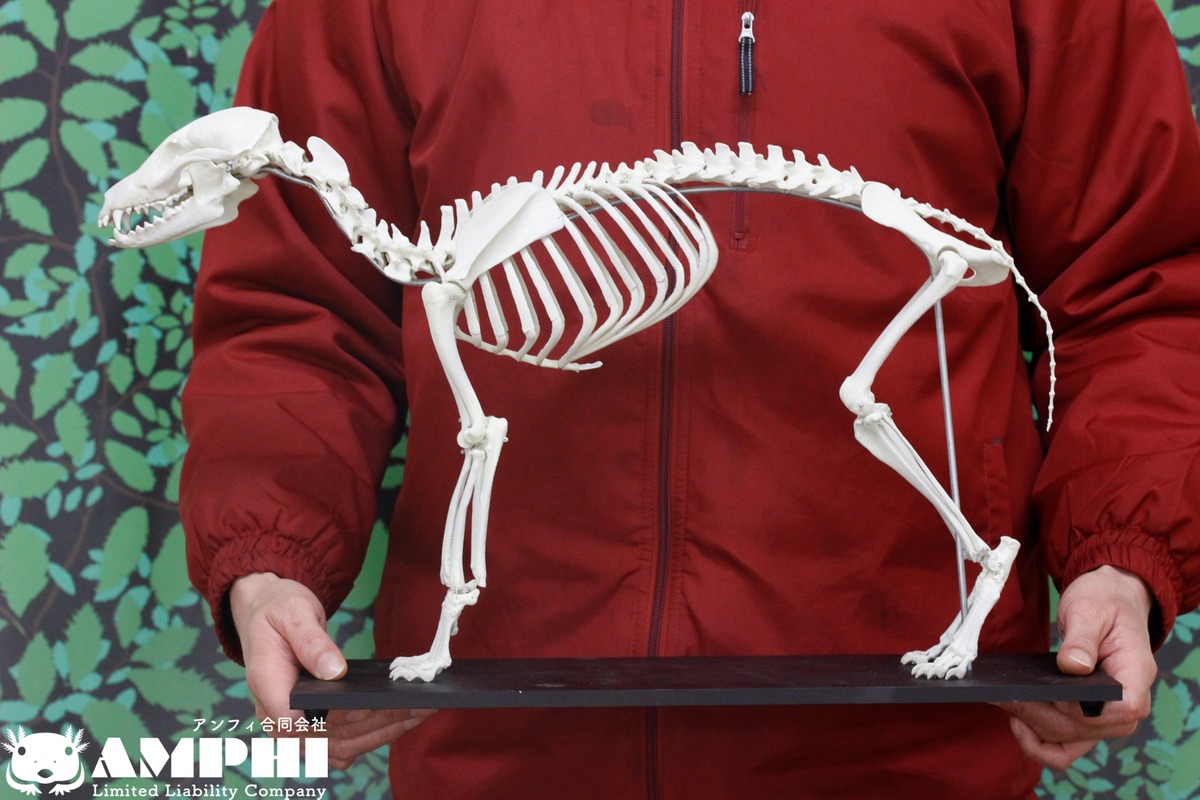 77eec3b054b4f67e93dadfaaafe68d