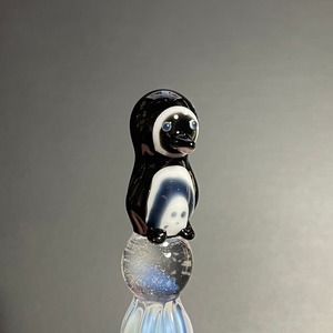 ガラパゴスペンギン