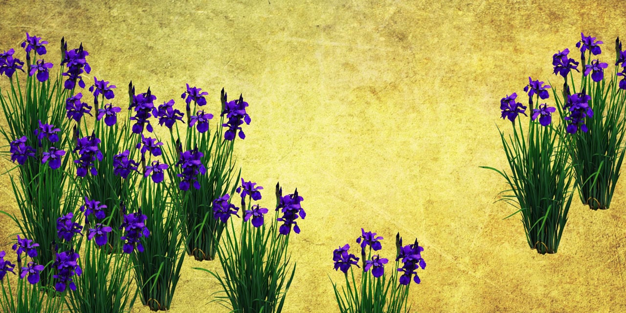 irismoke / 50mL | KOHSHI