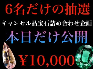 ¥10,000 キャンセル品抽選［No.K-227］