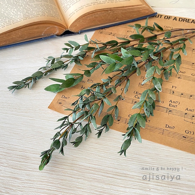 【 2026年新色 】小葉ユーカリ　ミストグリーン　＜プリザーブド加工＞