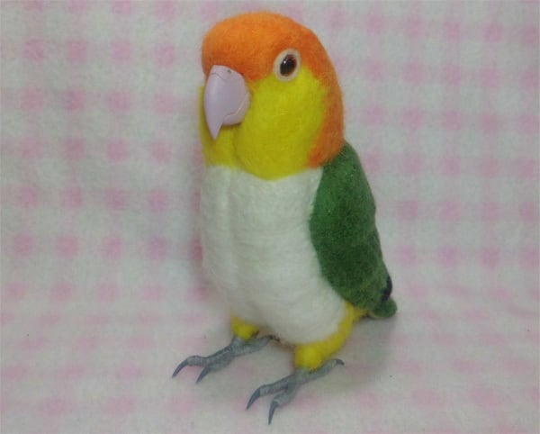 受注作成品】 シロハラインコ リアルサイズ♪ 羊毛フィギュア 1/1