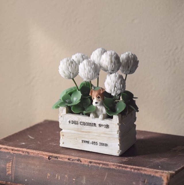 ◆シロツメクサのクレイフラワー◆＊四つ葉クローバー入り｜ミニサイズ・犬・BOXポット＊枯れない花　S1442