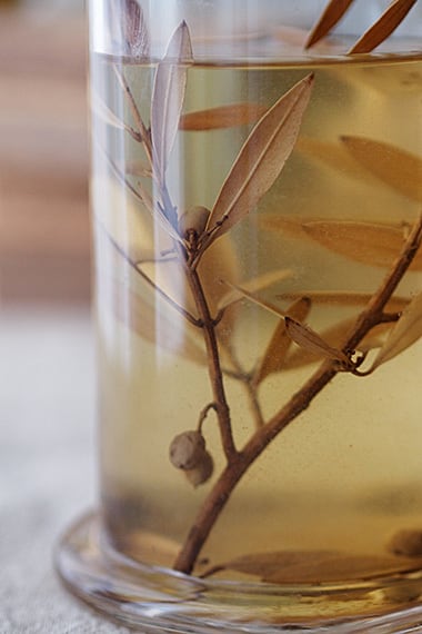 植物の標本瓶 -sample in bottle | アンティーク.ヴィンテージ家具雑貨