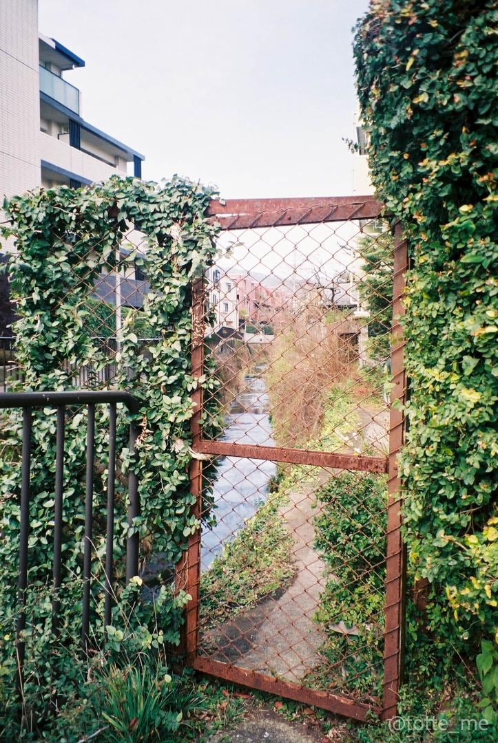 【動作確認未実施】PENTAX ESPIO120SWⅡ 動作確認OK】PENTAX ペンタックス ESPIO 120SWⅡ エスピオ