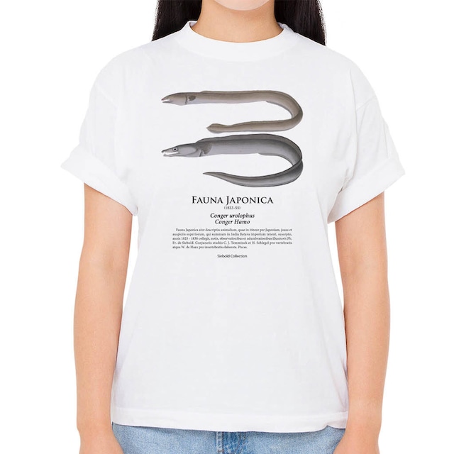 【ハモ・スソウミヘビ】シーボルトコレクション魚譜Tシャツ（高解像・昇華プリント）