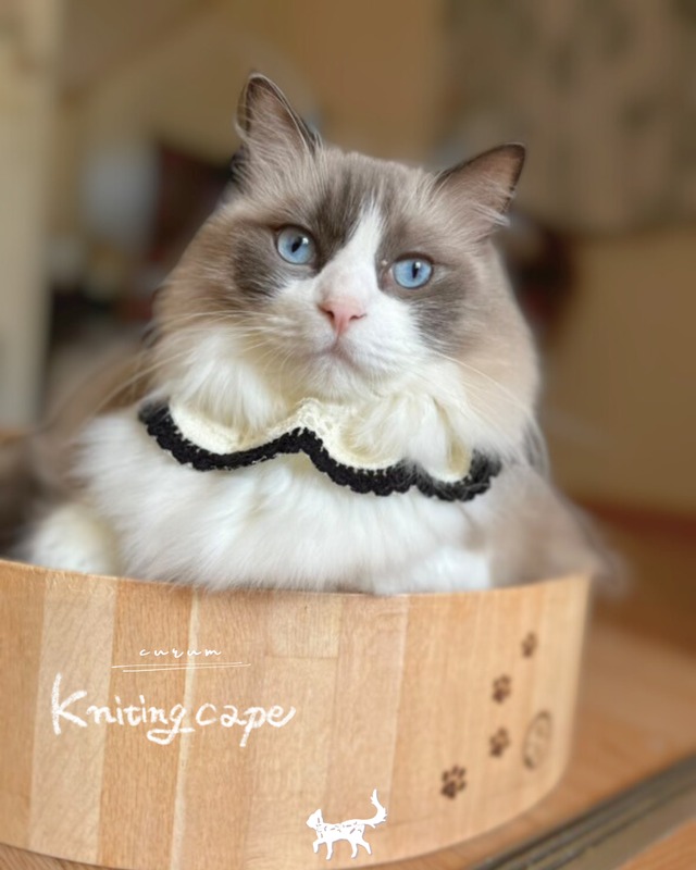 受注制作【curum】Kniting cape 〔お名前item〕