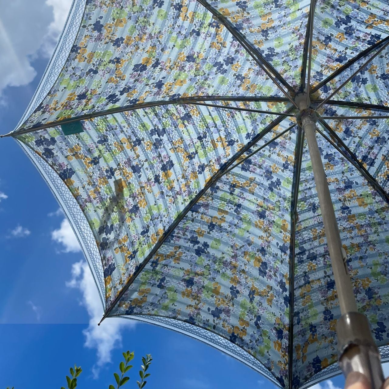 日傘 | 小野内商店