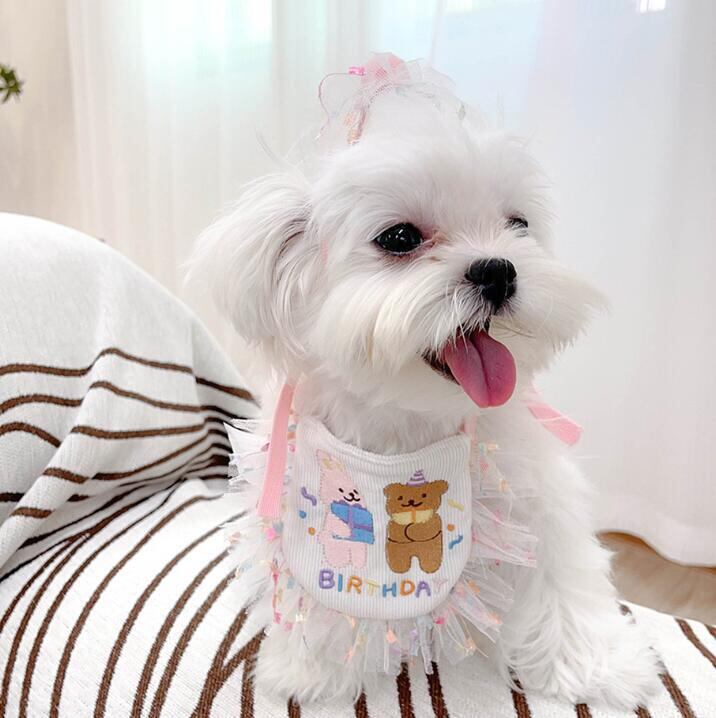 《予約》№2101588 うさちゃん&くまさんバースデースタイ