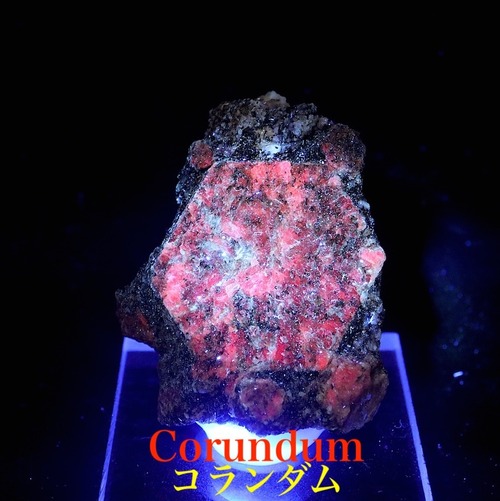 コランダム カリフォルア産  ルビー サファイア CRD137 原石 鉱物 天然石