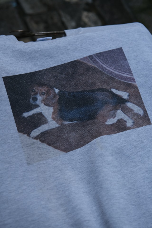 Utah／90's dog print sweat／Beagle