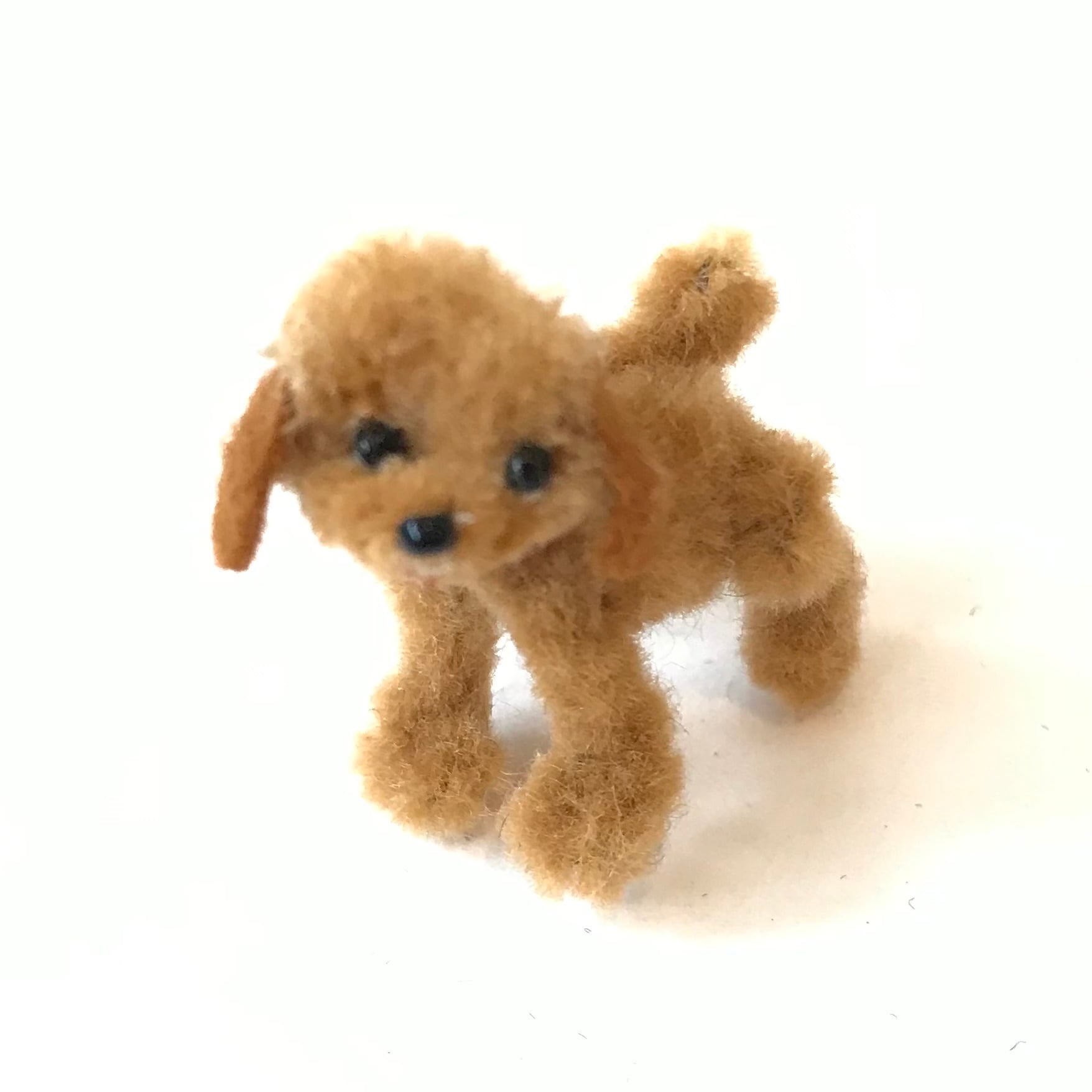 ハンガリー | Macaroni