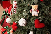 Bear Country KIT【29pieces】