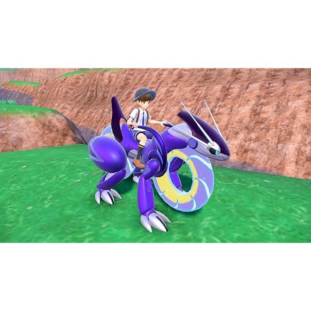 ポケモン抽選キャンペーン応募用紙付き】ポケットモンスター