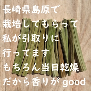 【長崎島原産】無農薬栽培パパイヤの茎 20g（税・送料込）