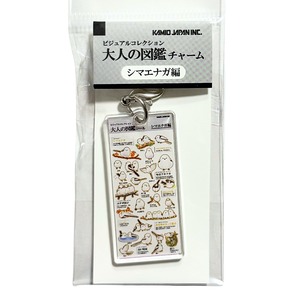 カミオジャパン　大人の図鑑チャーム