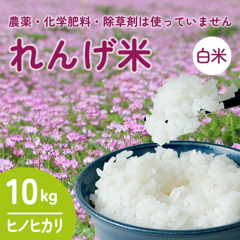 業務用米】佐賀県産ブレンド米 【小粒】 膳の匠 白米30kg （10kg×3袋