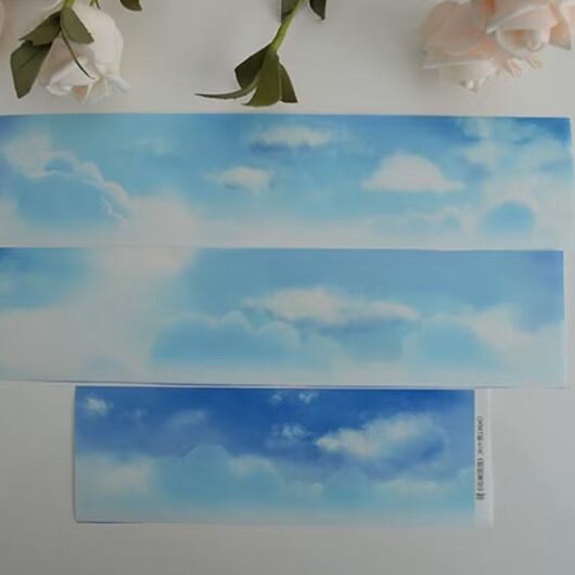 藍都様専用［新品・貝殻光PET＆和紙5m］海外マステ 青年マステ