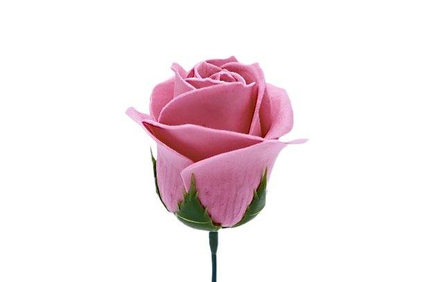 パステルバラT-P4 薄ピンク (15輪入りor25輪入り)