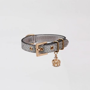 GLITTER COLLAR WITH CROWN（Silver） / OVER GLAM