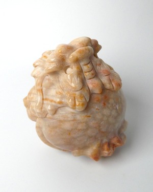 Fossil Coral フォッシルコーラル ⭓ 海の記憶 ⭔ ORIGINAL 龍亀