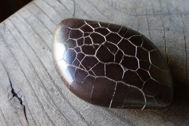 ゴビ亀甲石　Gobi Turtleback Stone