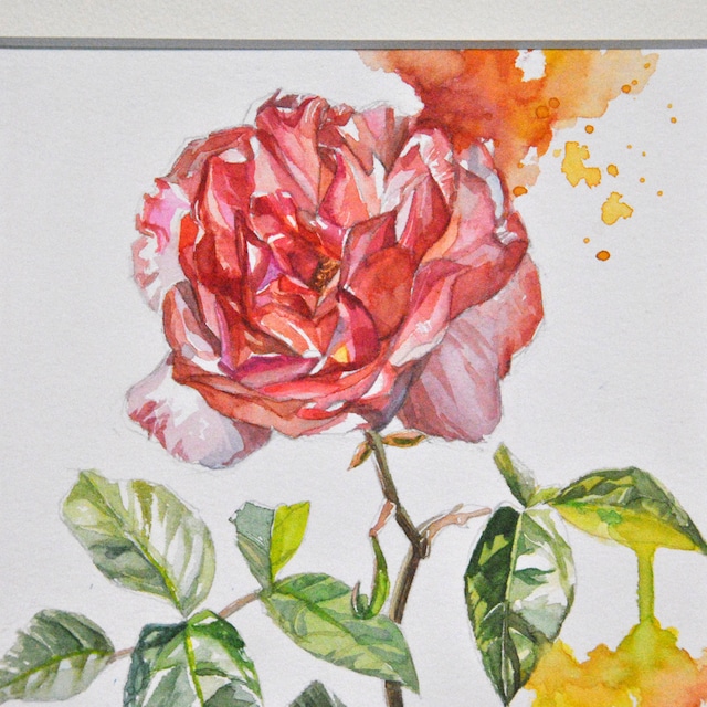 水彩画　SM（サムホール）同等サイズ　「薔薇」