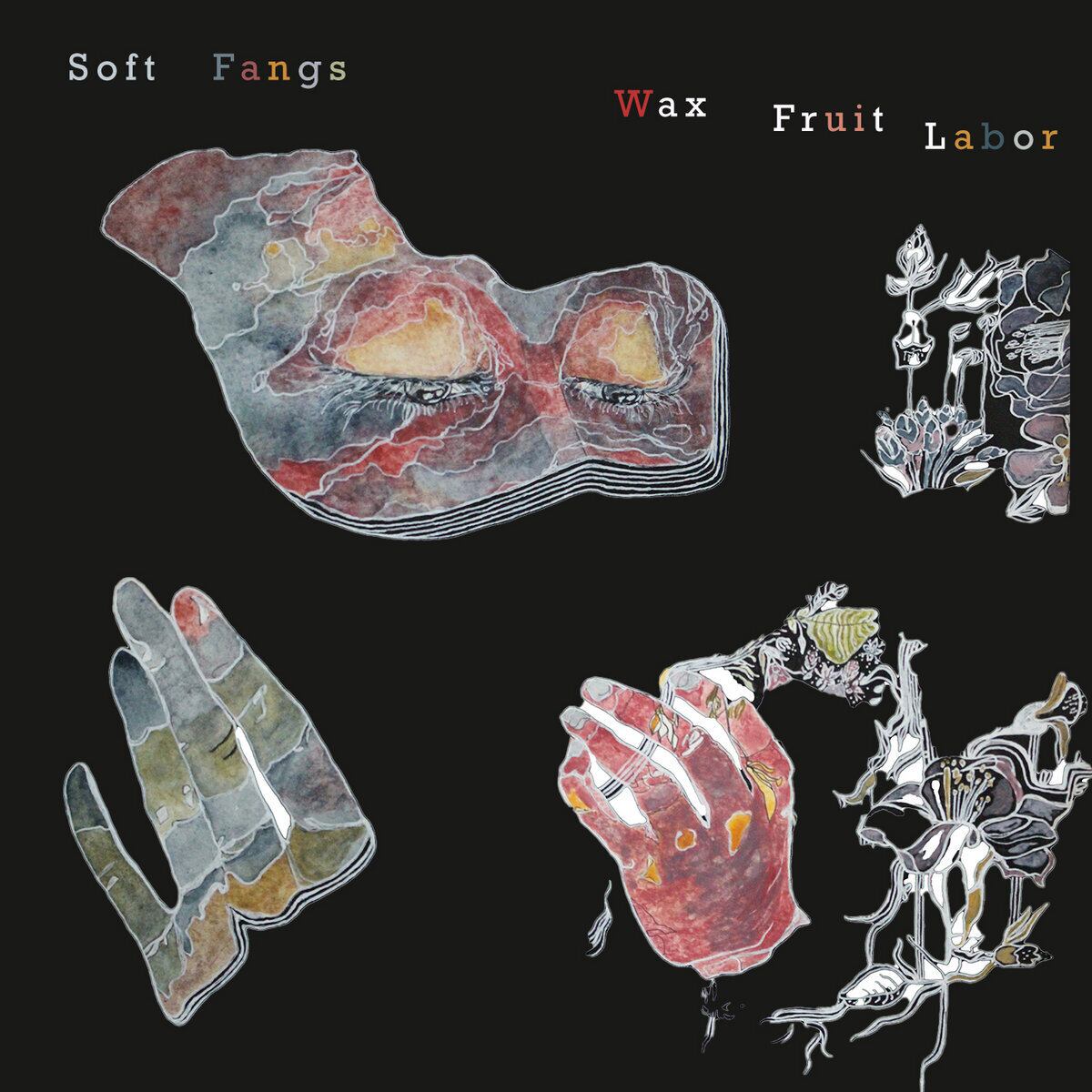 Soft Fangs / Wax Fruit Labor(100 Ltd Cassette)