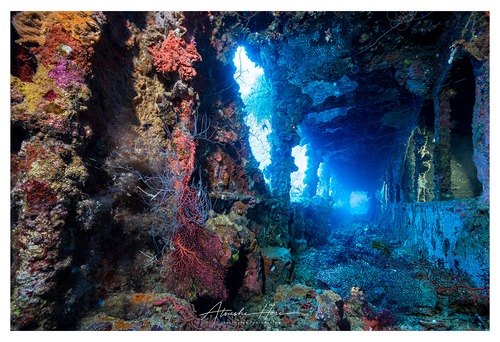 富士川丸 / Fujikawa Maru