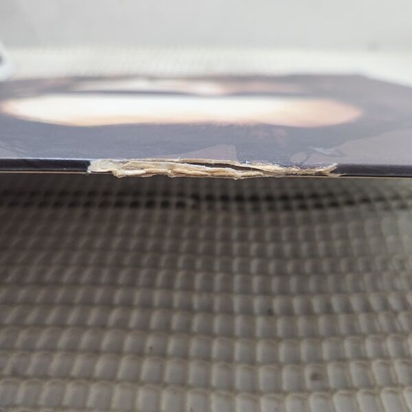 Sebastien Tellier / La Ritournelle [LUCKY004T] - 画像3