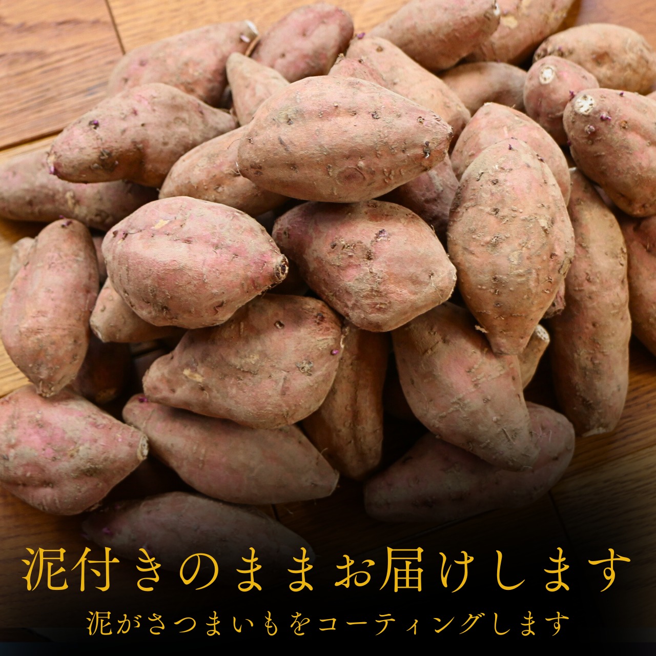 安納芋 有機栽培 長崎県五島列島産 約2.5kg (S、2Sサイズ混合) 有機JAS認証 さつまいも 土付き 焼き芋向き 産地直送 貯蔵後、順次発送