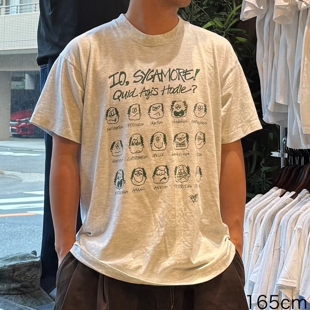 【90's】【Made in USA】SCREEN STARS BEST 半袖Tシャツ　XL