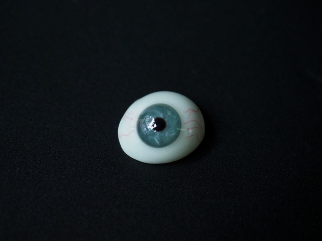 義眼  147