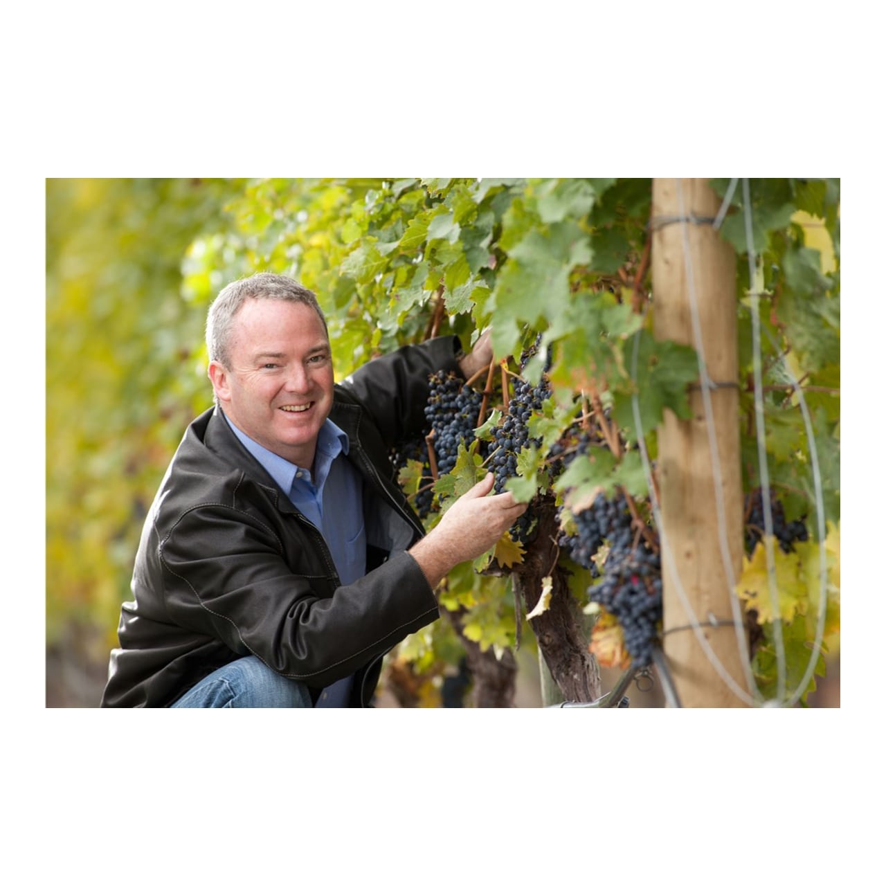 Quails’ Gate Chardonnay 2023（クエイルズ・ゲイト シャルドネ）