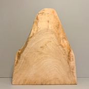 木の結婚証明書｜トチ｜ No.902