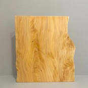 木の結婚証明書|イヌマキ|No.677