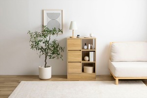 【幅60cm】Sunap 引出付きキャビネット