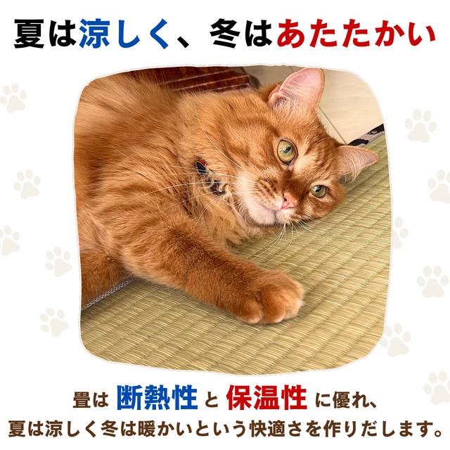 熊本県産い草100% お猫様専用ミニ畳 梅柄 | NIHONT〜にほんと〜