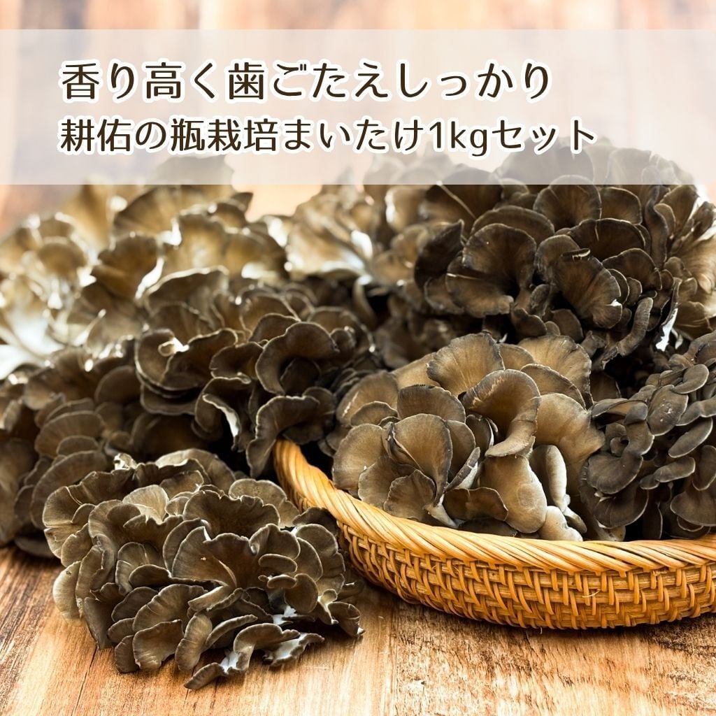 舞茸　さん専用 舞茸大好きセット（栗原市産舞茸・約1kg） | くりはらファーマーズラボ
