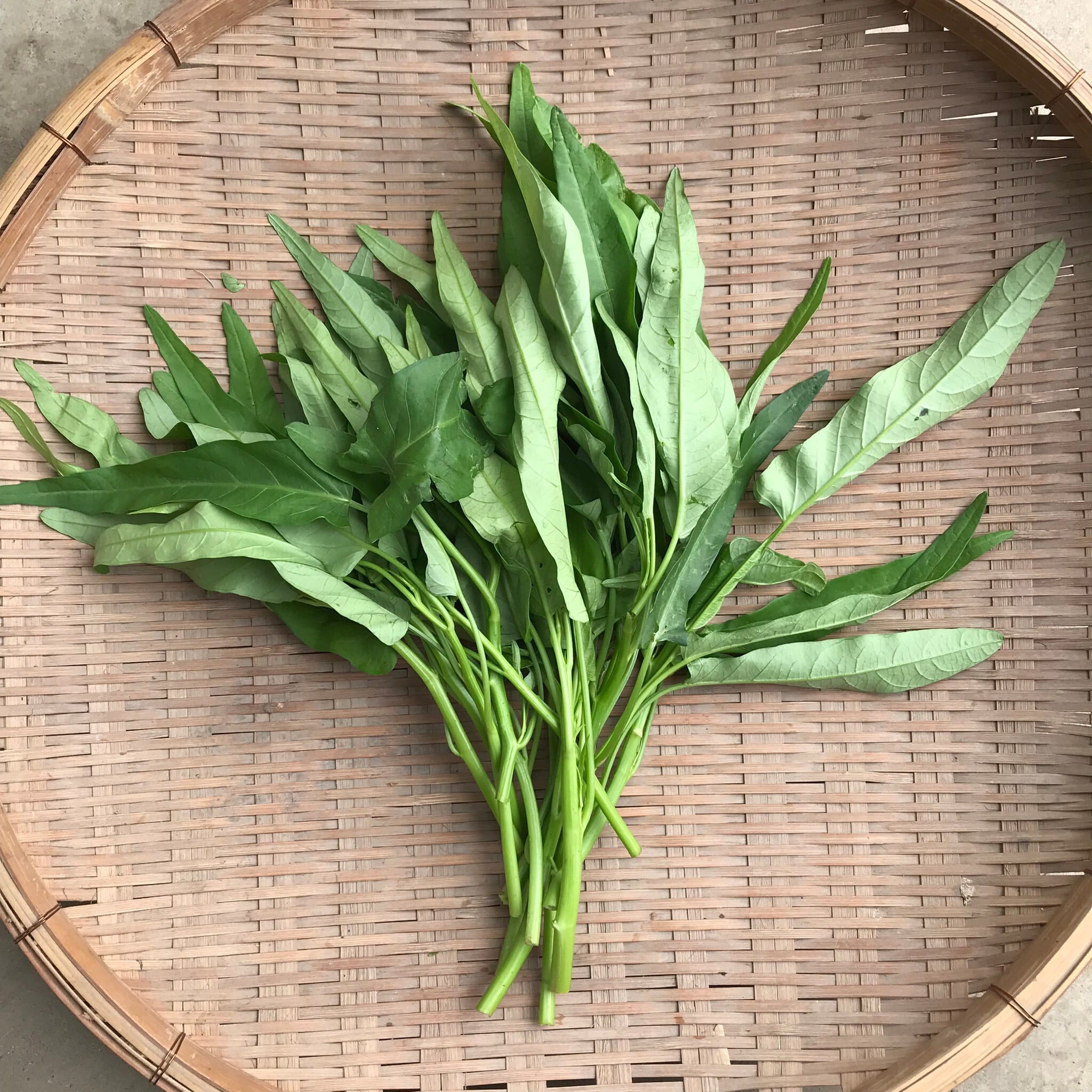 空芯菜 業務用1㎏バラ詰め／中国野菜 | PAY ID