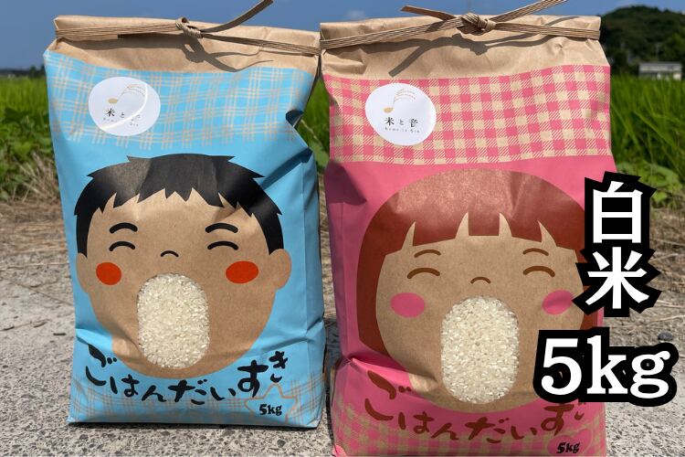 【感謝還元セール(年末のお礼)】1等米|白米 5kg 静岡県産コシヒカリ~送料無料 一部地域除く~