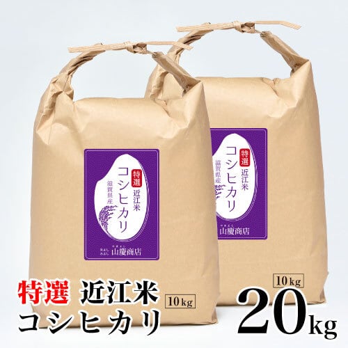 コシヒカリ　20kg【送料無料】　特選　近江米　お米の山慶商店