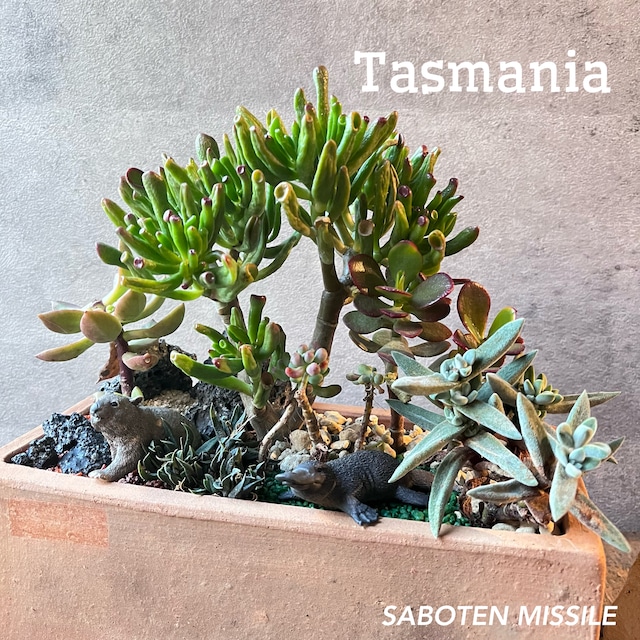 Tasmania