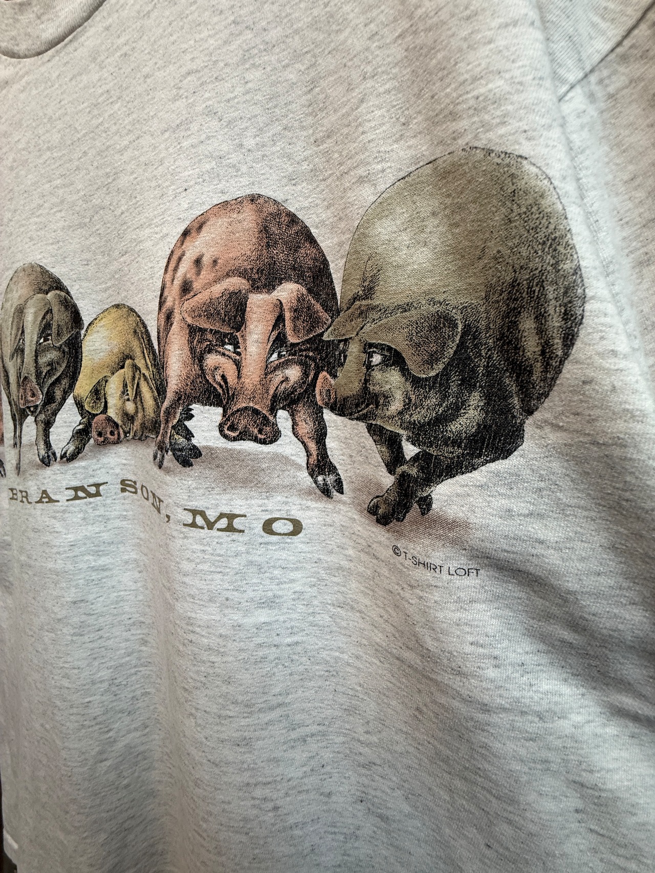90s PIGS GRAPHIC PRINTS OF TAILS / ONEITA (タグ欠損) made in usa・画像5