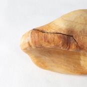 KNOT